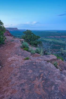 Flag Point Track 2 Flag Point, Kanab Utah Dinosaur Tracks