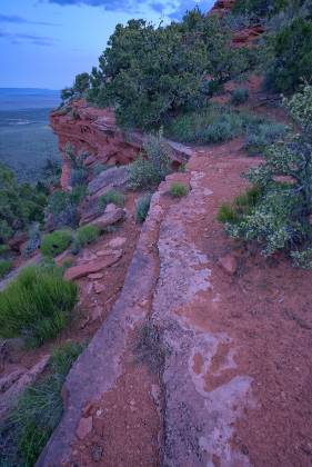 Flag Point Track 3 Flag Point, Kanab Utah Dinosaur Tracks