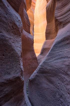 Heart Vein 1 Heart Vein Canyon, also known as Upper Red Cave, near Kanab, Utah