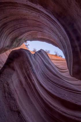 Heart Vein 3 Heart Vein Canyon, also known as Upper Red Cave, near Kanab, Utah