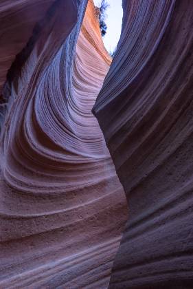 Heart Vein 6 Heart Vein Canyon, also known as Upper Red Cave, near Kanab, Utah