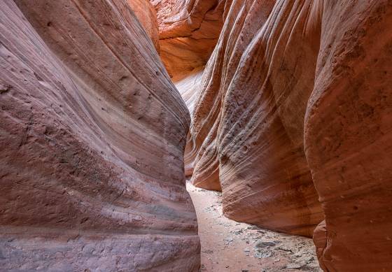 Red Canyon 4 Red Canyon, also known as Peekaboo Canyon, near Kanab Utah