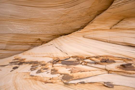 Fins 4 The Great Chamber Alcove near Kanab, Utah