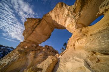 Inchworm Arch