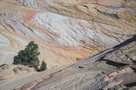 Triangles Sandstone pattern at Yellow Rock in Grand Staircase Escalante National Monument, Utah