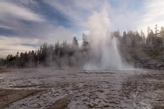 Grand Geyser 1 Grand Geyser erupting in Yellowstone National Park