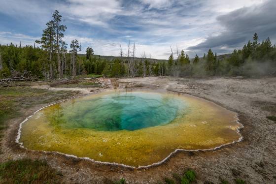 Morning Glory Pool Morning Glory Pool in Yellowstone National Park