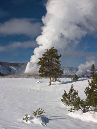 Old Faithful 2 Old Faithful eeupting in Yellowstone National Park