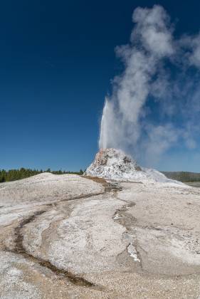 White Dome Geyser White Dome Geyser erupting in Yellowstone National Park