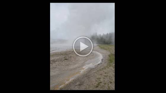 Daisy Geyser