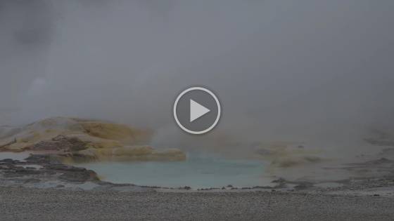 Fountain Paint Pots 1