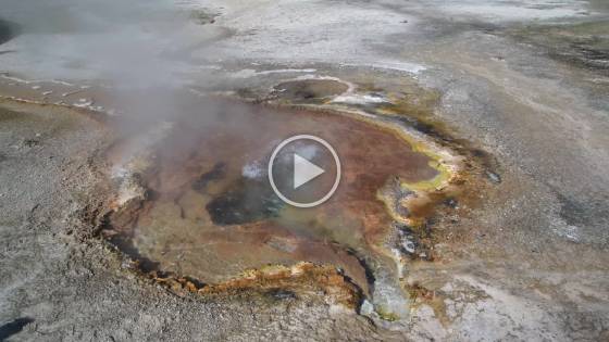 Hot Spring near Cliff Geyser
