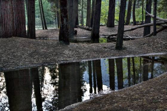 Merced Overflow Overflow of the Merced River in Yosemite National Park