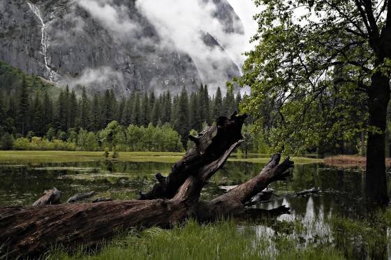 Merced River The Merced River in Yosemite National Park